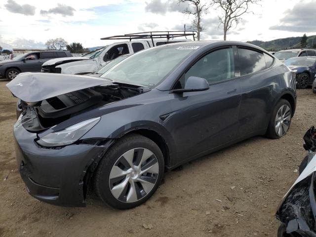 2023 TESLA MODEL Y  2023 image