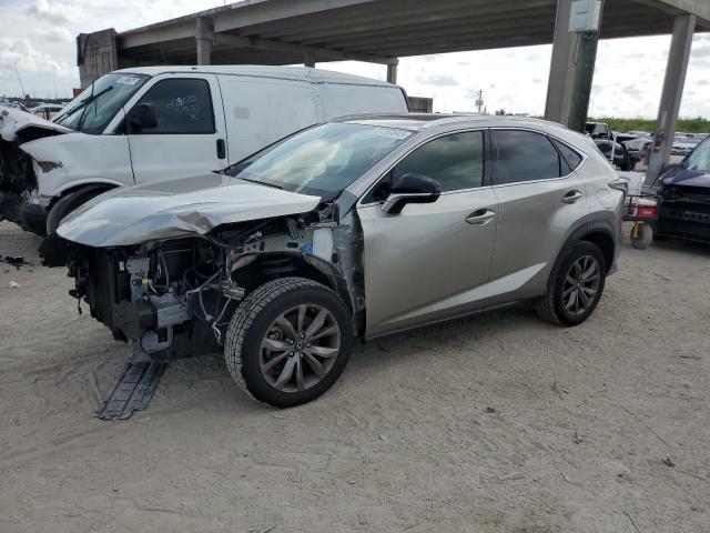2020 LEXUS NX 300 F-SPORT 2020 image