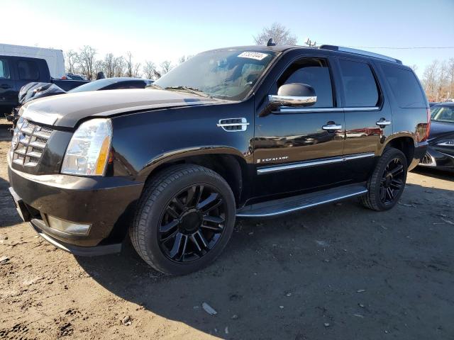 Obraz 2008 CADILLAC ESCALADE LUXURY 2008