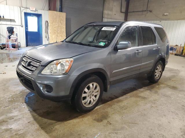 2005 HONDA CR-V SE 2005 image