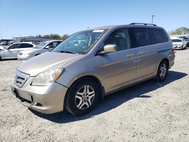 2006 HONDA ODYSSEY EXL 2006 image