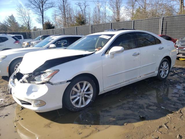 Obraz 2011 LEXUS ES 350 2011