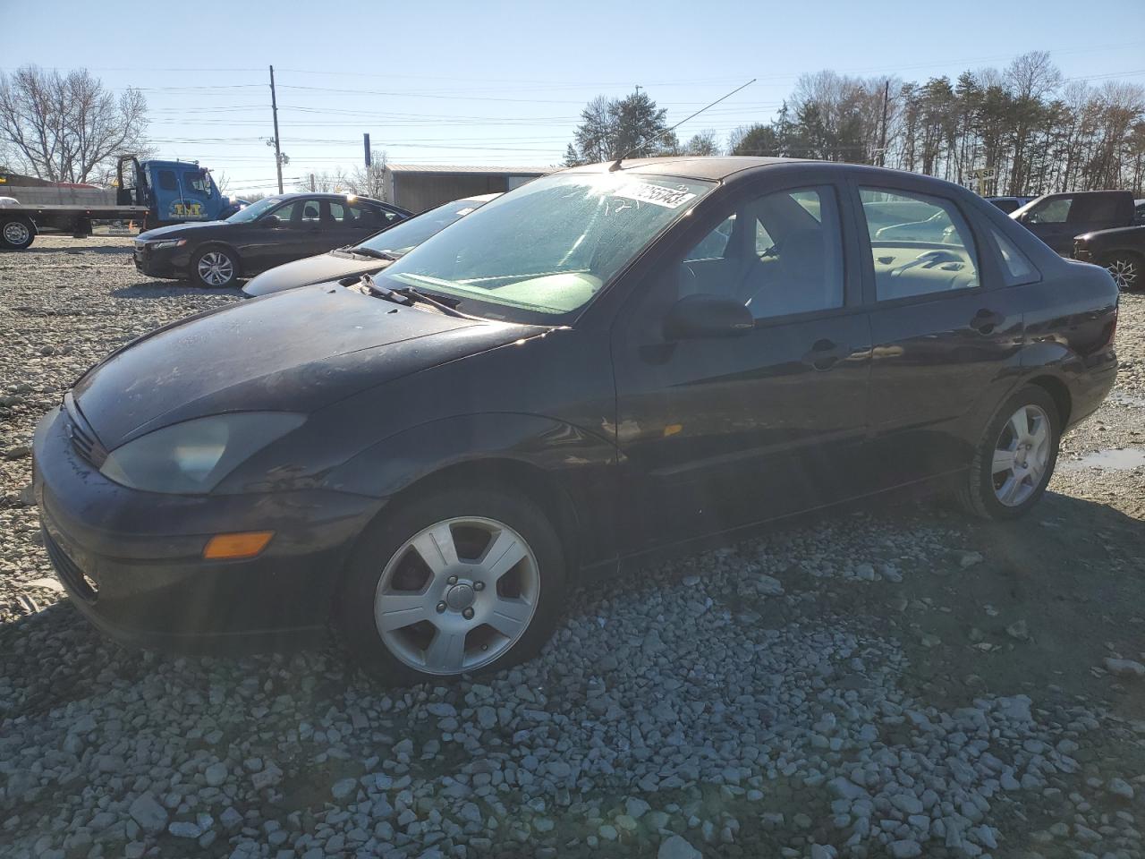 2003 FORD FOCUS SE COMFORT 2003 image
