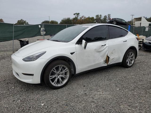 Obraz 2023 TESLA MODEL Y  2023