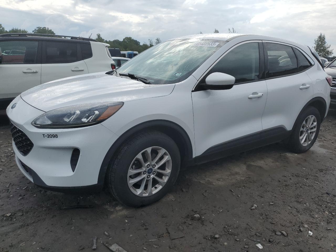 2020 FORD ESCAPE SE 2020 image