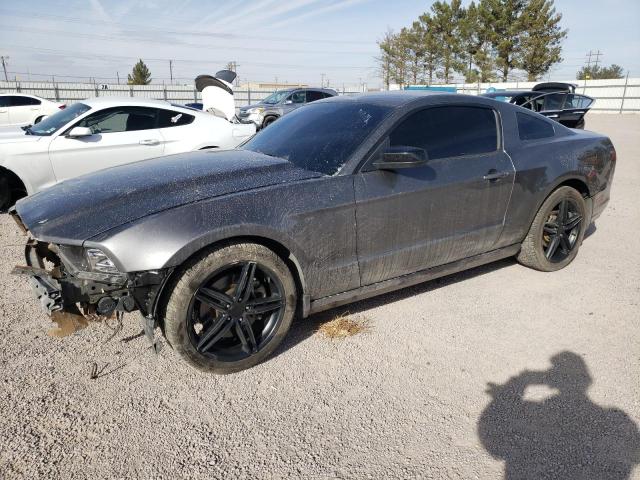 Изображение 2013 FORD MUSTANG  2013