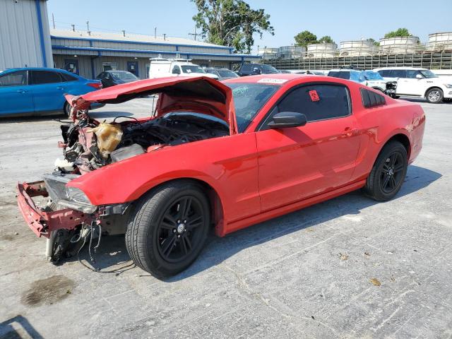 Obraz 2014 FORD MUSTANG  2014