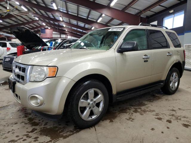 Изображение 2010 FORD ESCAPE XLT 2010