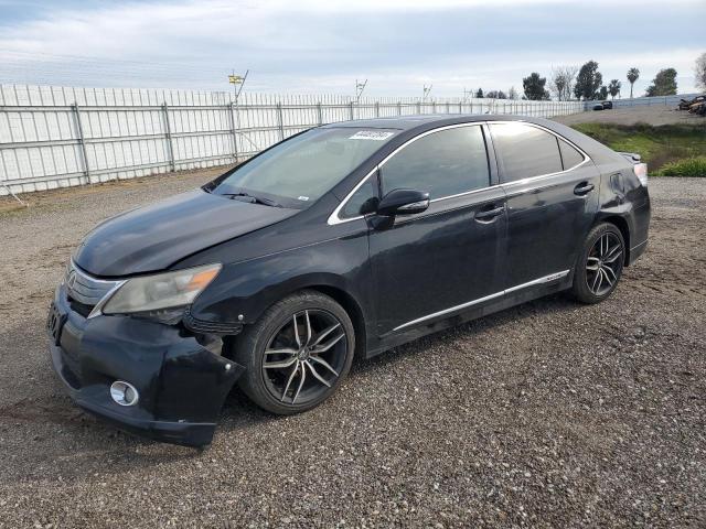 Изображение 2010 LEXUS HS 250H 2010