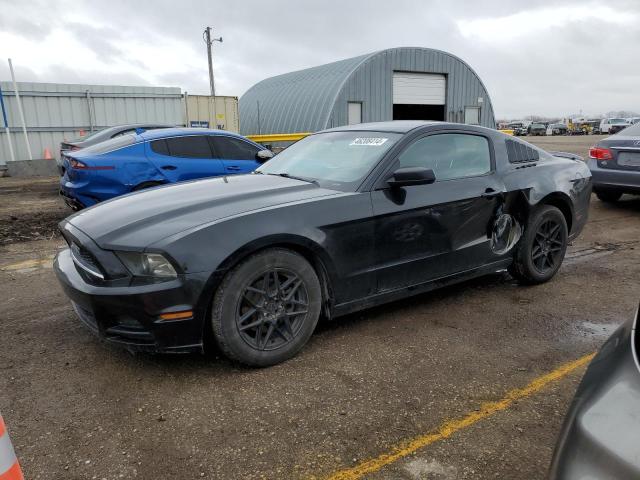 Obraz 2013 FORD MUSTANG  2013