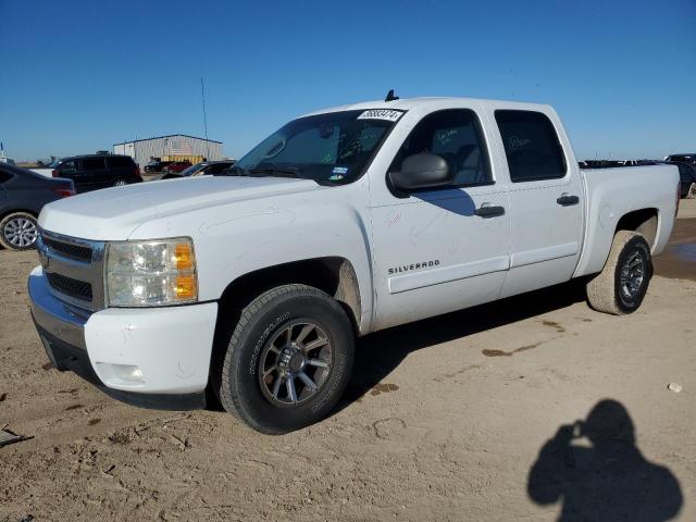 2007 CHEVROLET SILVERADO C1500 CREW CAB 2007 image