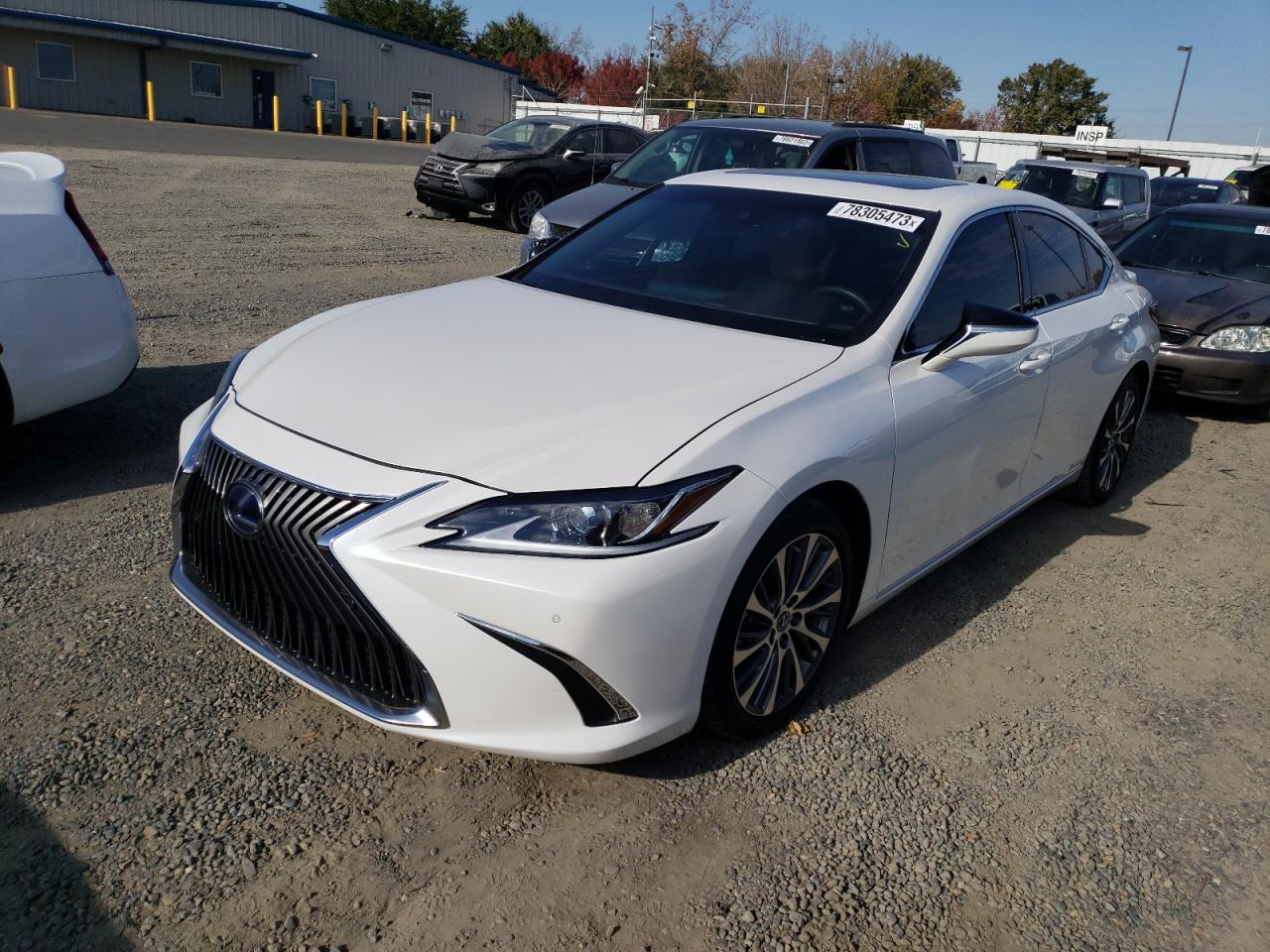 Obraz 2021 LEXUS ES 300H 2021