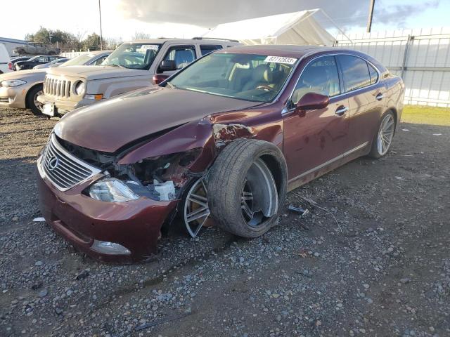 Изображение 2007 LEXUS LS 460 2007