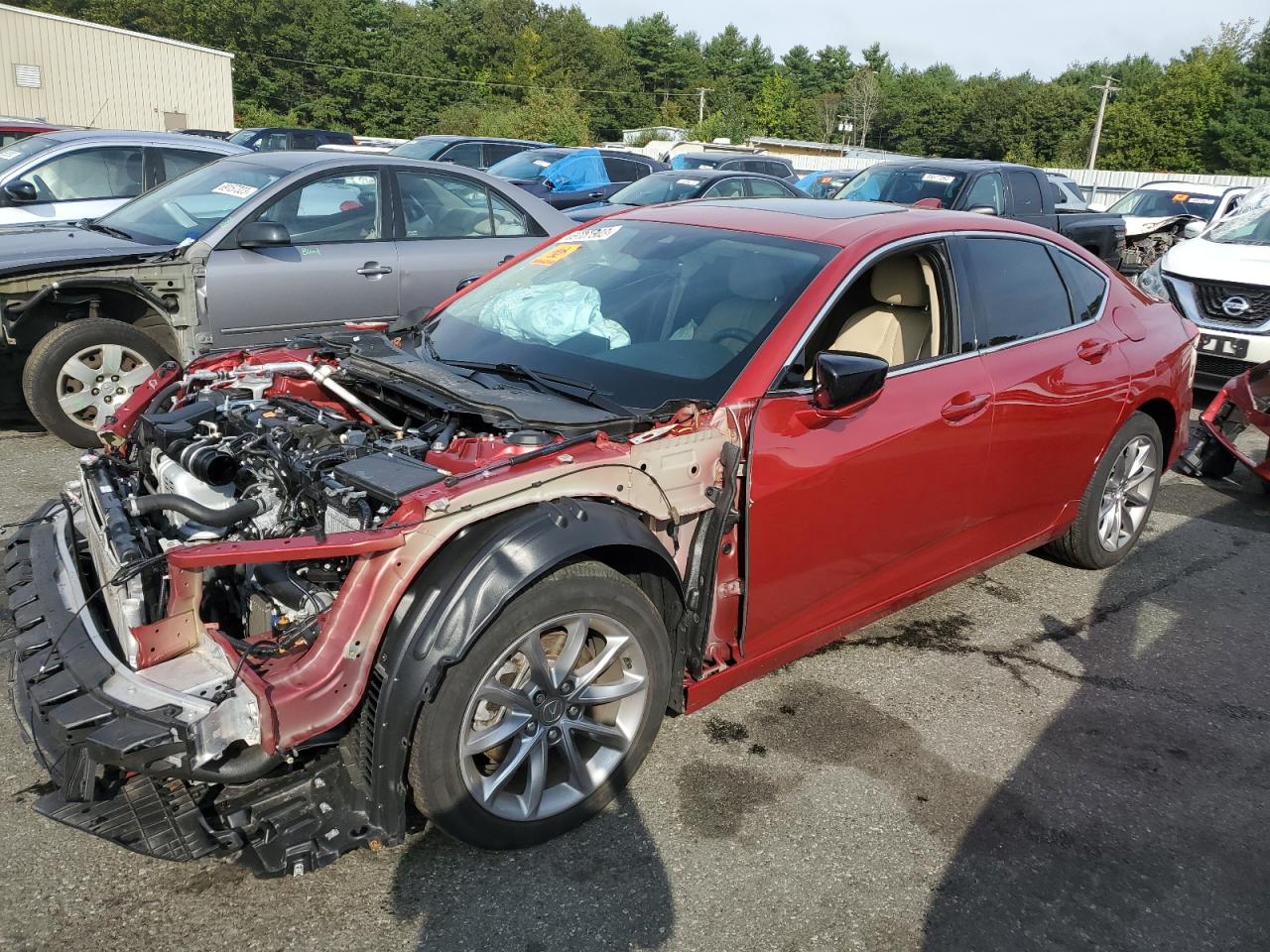 Obraz 2022 ACURA TLX  2022