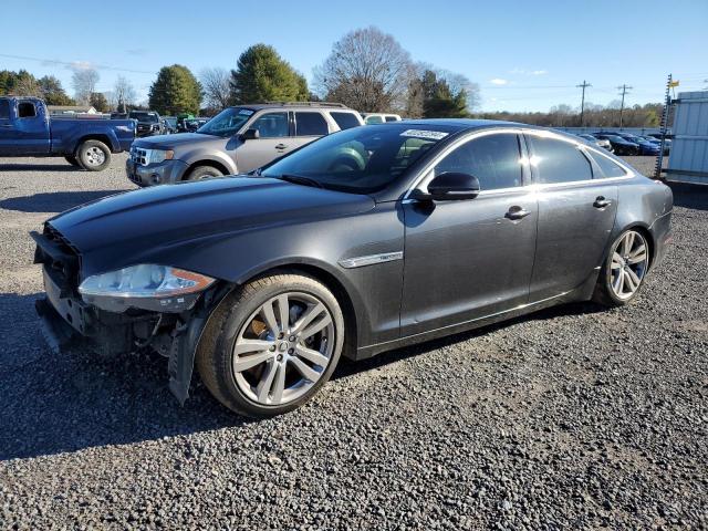 Obraz 2013 JAGUAR XJ  2013