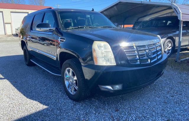 Obraz 2008 CADILLAC ESCALADE ESV 2008
