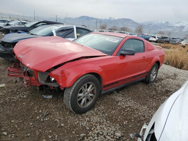 2006 FORD MUSTANG  2006 image
