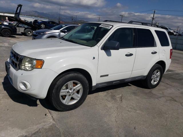 Obraz 2008 FORD ESCAPE HEV 2008