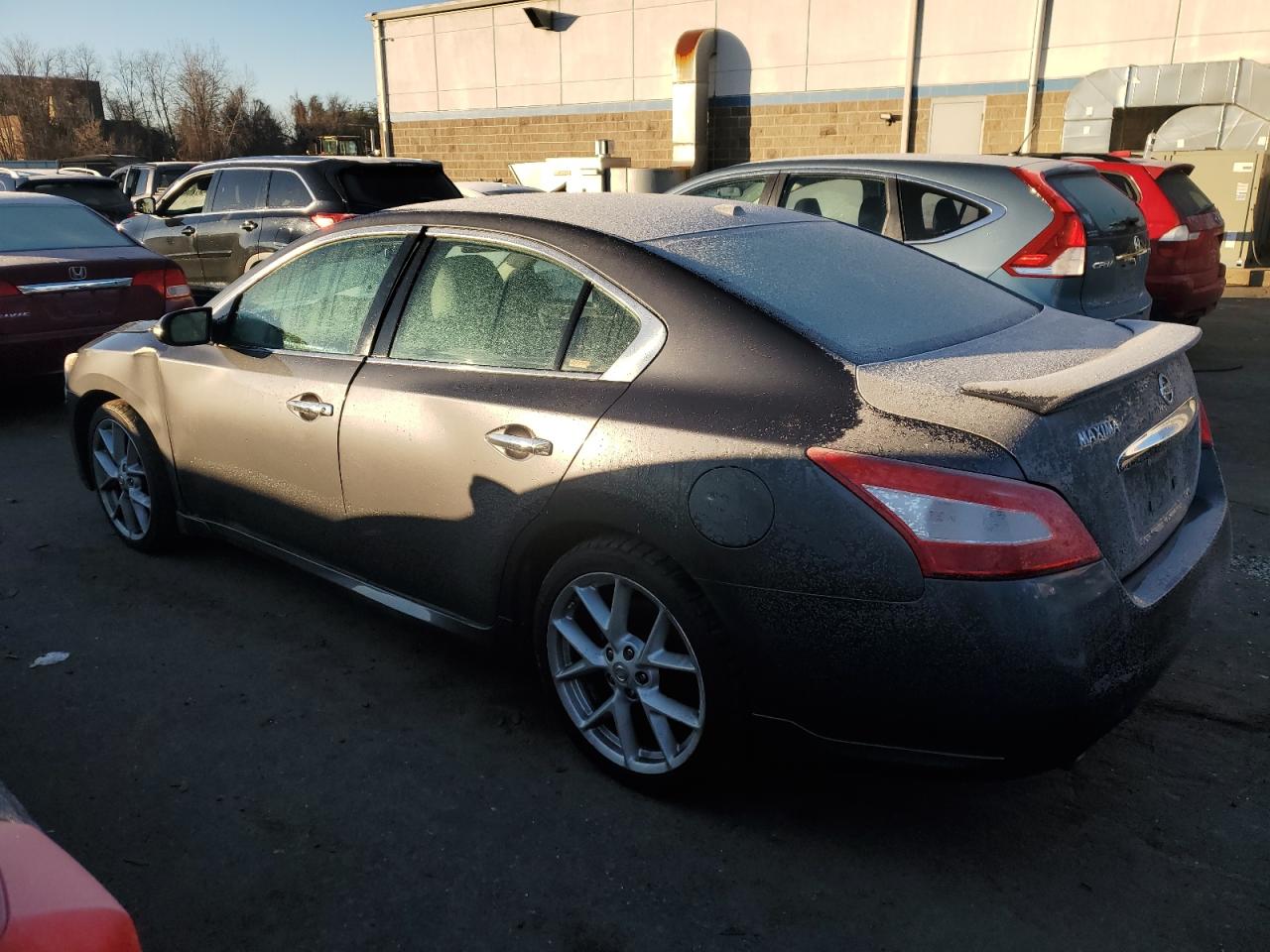 Image 2 of 2009 NISSAN MAXIMA S 2009 with VIN 1N4AA51E49C813271