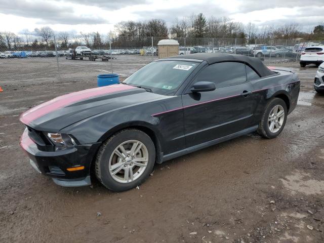 Obraz 1 z 2011 FORD MUSTANG  2011 z VIN 1ZVBP8EM5B5140403