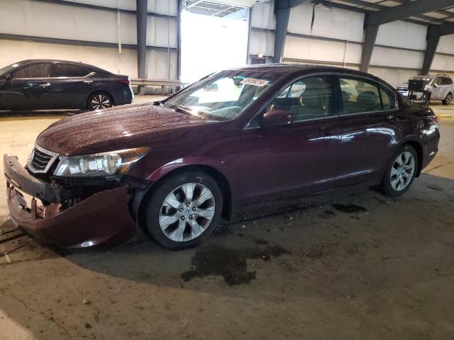 2008 HONDA ACCORD EXL 2008 image