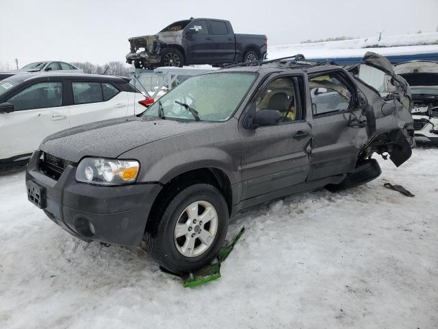Image 1 of 2006 FORD ESCAPE XLT 2006 with VIN 1FMCU931X6KD02057