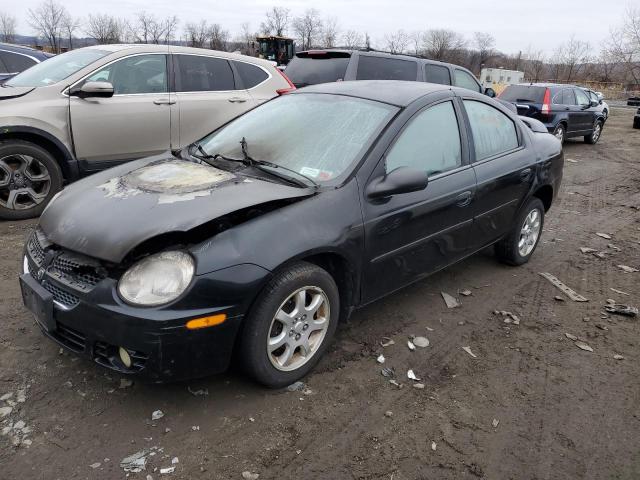 Obraz 2004 DODGE NEON SXT 2004