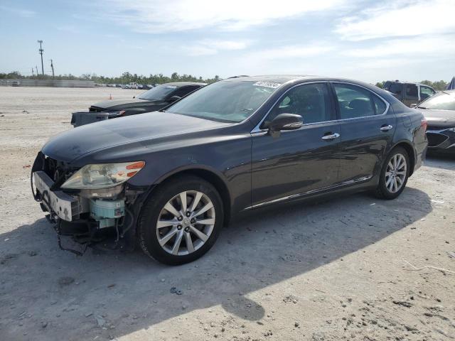 Obraz 2010 LEXUS LS 460 2010