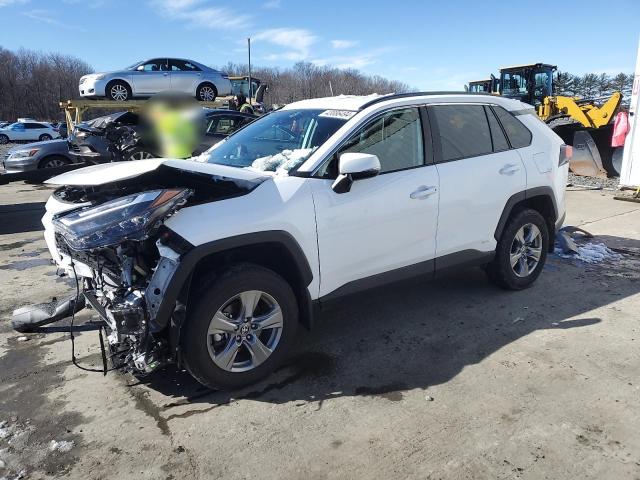 Image 1 of 2024 TOYOTA RAV4 XLE 2024 with VIN 2T3RWRFV2RW187490