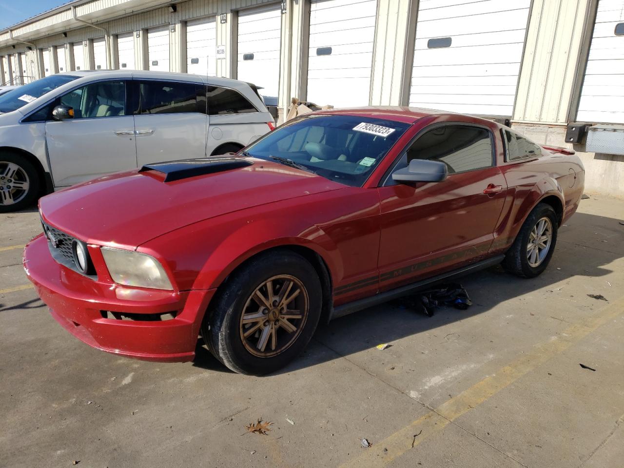 2009 FORD MUSTANG  2009 image