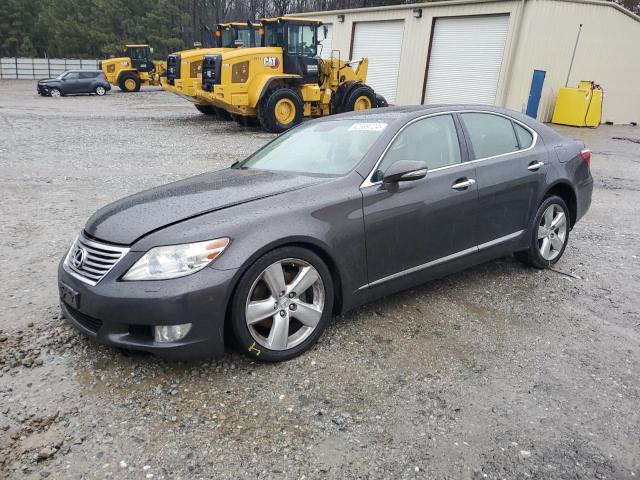 Obraz 2010 LEXUS LS 460 2010