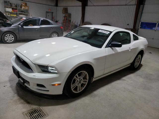 2013 FORD MUSTANG  2013 image