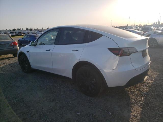 Image 2 of 2023 TESLA MODEL Y  2023 with VIN 7SAYGDEE3PA078214
