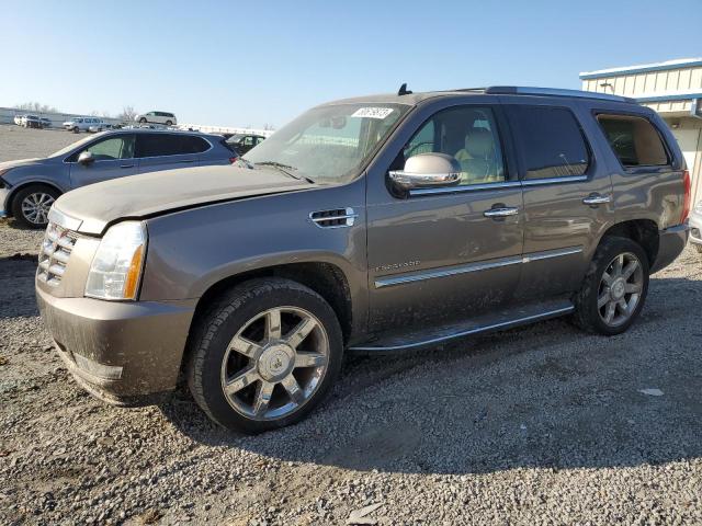 Obraz 2011 CADILLAC ESCALADE LUXURY 2011