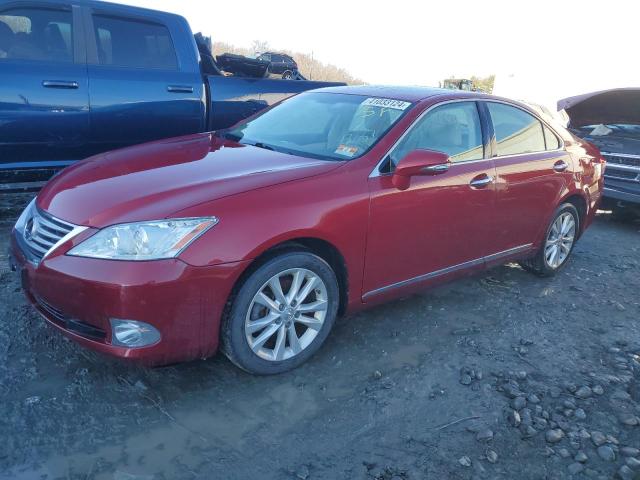 Obraz 2010 LEXUS ES 350 2010