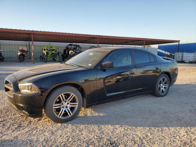 2013 DODGE CHARGER R/T 2013 image