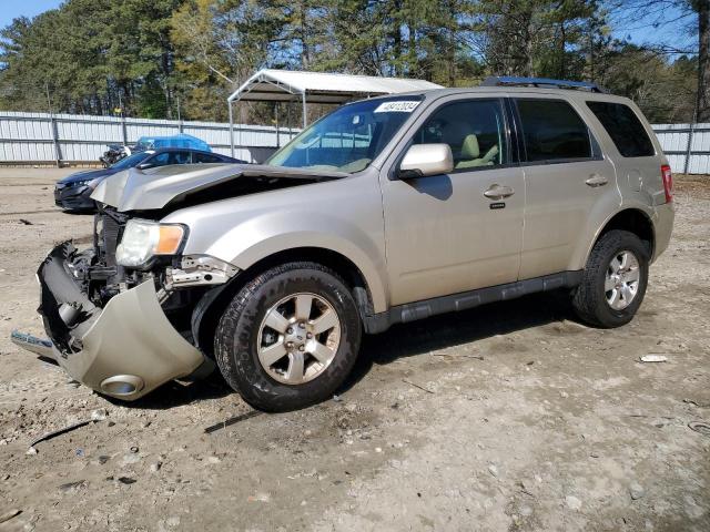 Obraz 2010 FORD ESCAPE LIMITED 2010