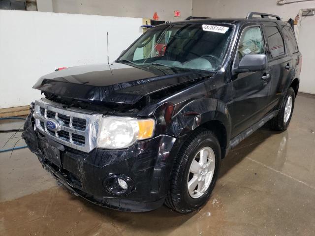 2010 FORD ESCAPE XLT 2010 image