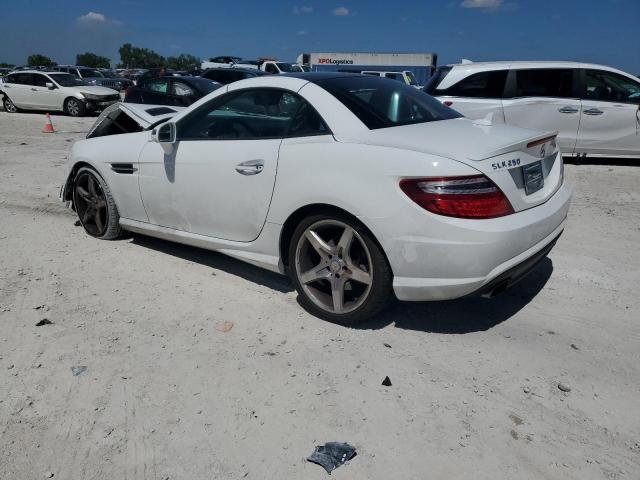Obraz 2 z 2014 MERCEDES-BENZ SLK 250 2014 z VIN WDDPK4HA2EF083826