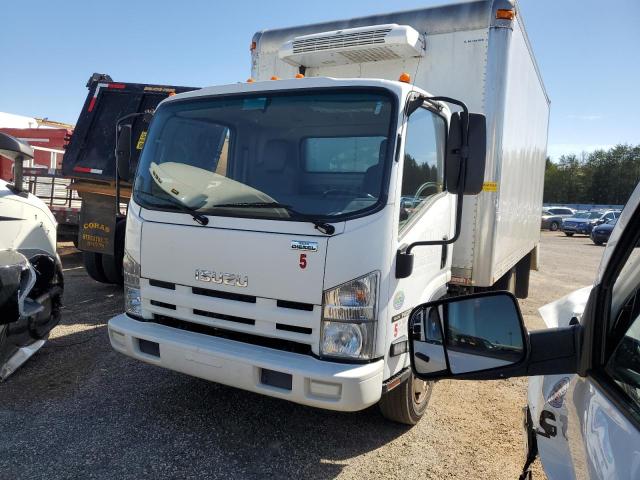 Obraz 2014 ISUZU NQR  2014