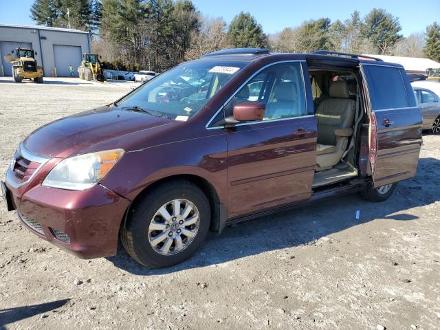 2008 HONDA ODYSSEY EXL 2008 image