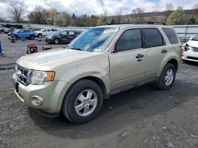 Obraz 2012 FORD ESCAPE XLT 2012