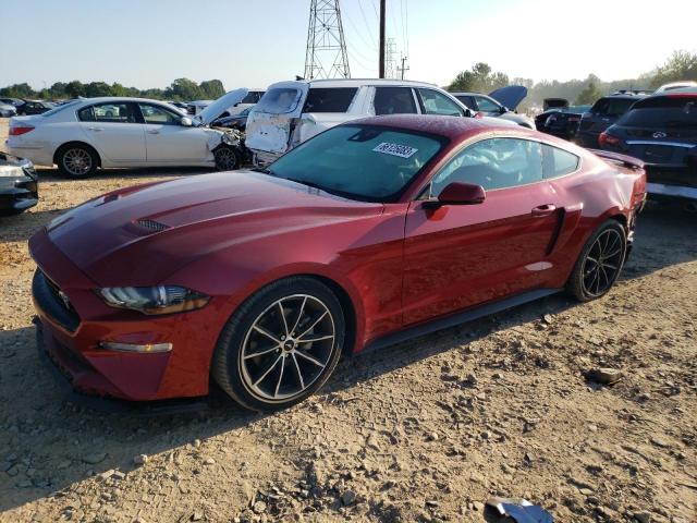 Изображение 2023 FORD MUSTANG  2023
