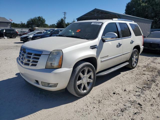 2008 CADILLAC ESCALADE LUXURY 2008 image
