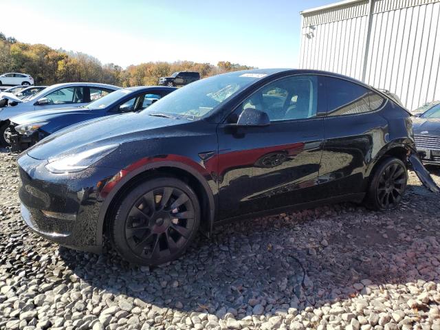2023 TESLA MODEL Y  2023 image