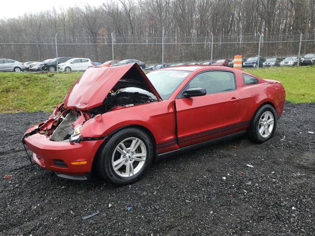 Изображение 2012 FORD MUSTANG  2012
