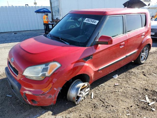 Obraz 2010 KIA SOUL + 2010
