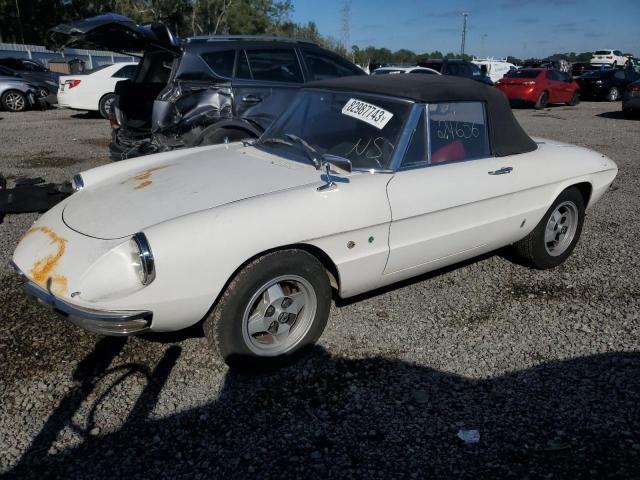 Obraz 1967 ALFA ROMEO DUETTO CON 1967