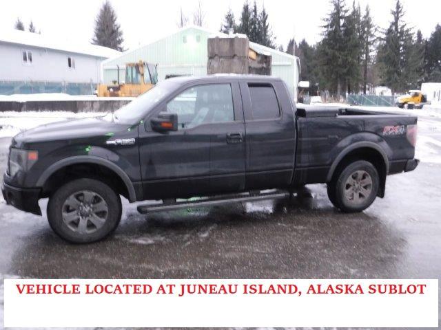 Obraz 1 z 2013 FORD F150 SUPER CAB 2013 z VIN 1FTFX1EF3DKE47621