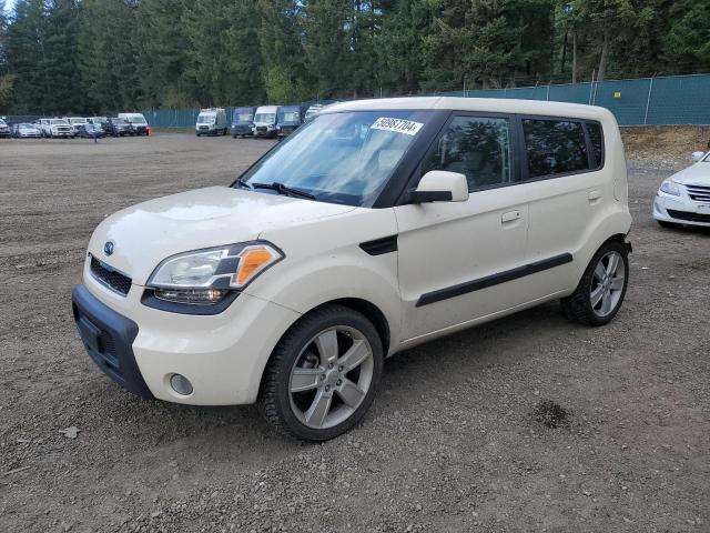Obraz 2010 KIA SOUL + 2010